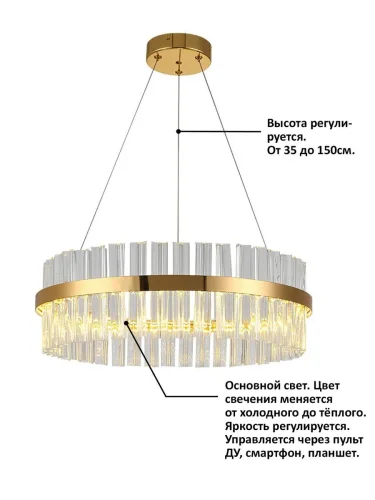 Люстра подвесная LED с пультом INNOVATION STYLE 83010 Natali Kovaltseva прозрачная на 1 лампа, основание золотое в стиле хай-тек с пультом кольца фото 2